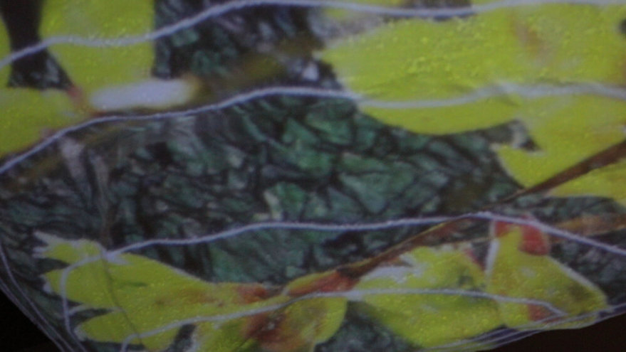 1008671_31707_95538_WAYFip_kN.jpg